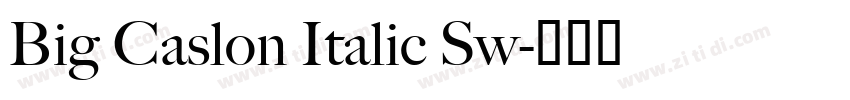 Big Caslon Italic Sw字体转换